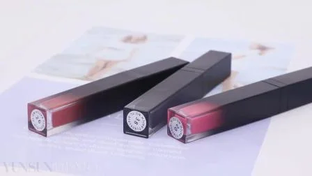 Cosmetici per rossetto liquido con etichetta privata per lucidalabbra sfumato opaco a lunga durata OEM